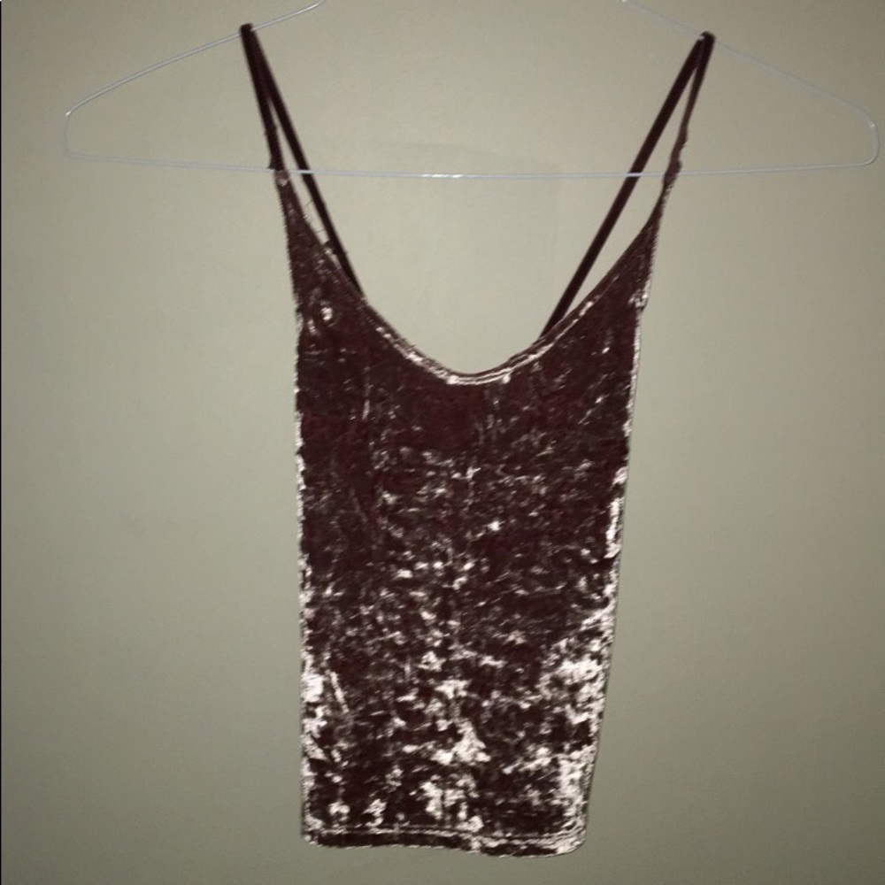 Cropped Velvet American Eagle Top